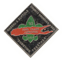 1993 Camporee pin