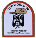 Cub World pin