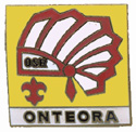 Onteora pin