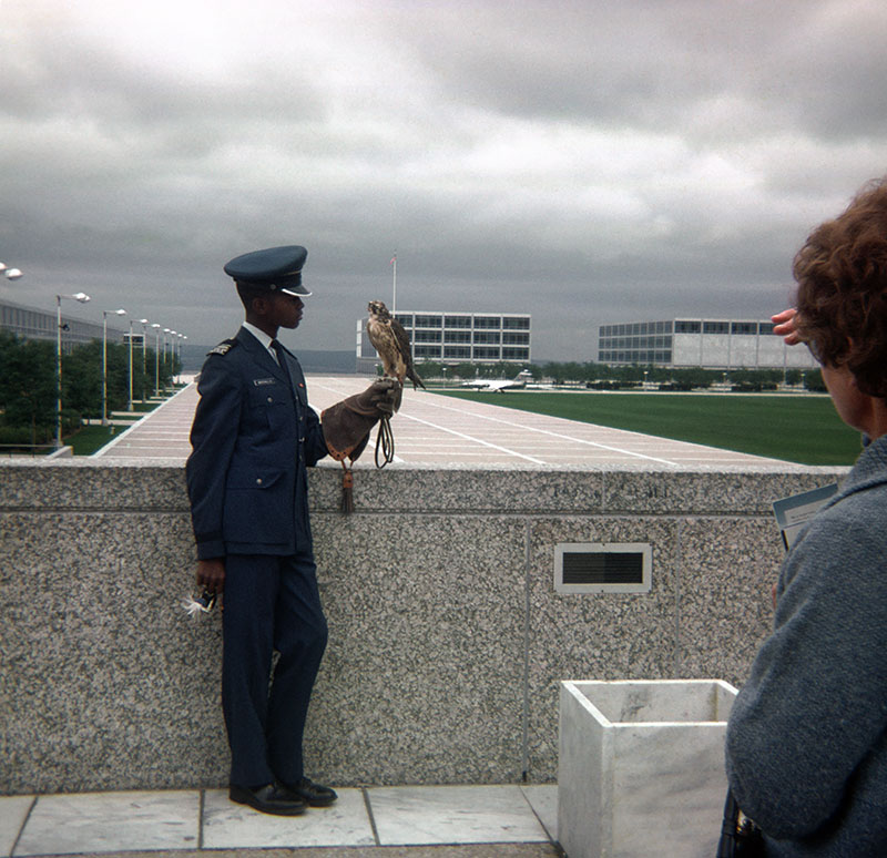 Cadet and falcon mascot