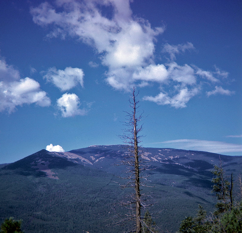 View on the road to Miranda