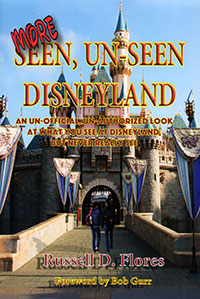 More Seen, Unseen Disneyland