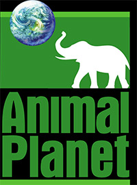Animal Icons: Hollywood's Prehistoric Superstars (2005) 